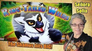 KONAMI•  RING-TAILED WILDS  • Great First Loook! • The Shamus Of Slots