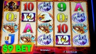 BUFFALO GOLD SLOT MACHINE • $9 BET • LIVE RUN! • BONUS