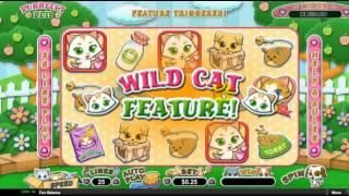 Purrfect Pets new RTG slot dunover tries...