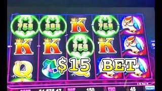 $15 Bet: Cats Hats and More Bats slot machine