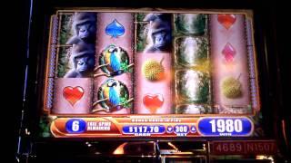 Queen of the Wild slot bonus win