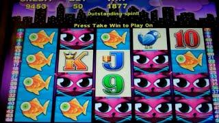 Miss Kitty Slot Machine Bonus - 10 Free Games with Sticky Wilds - Nice Win