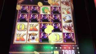 Big Buffalo Stampede Aristocrat Slot Machine Line Hit