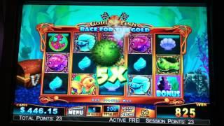 Goldfish Race for the Gold Slot Machine Bonus - Purple Fish Line Hit
