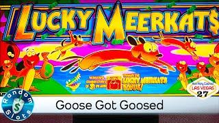 Lucky Meerkat$ Slot Machine in the Longhorn