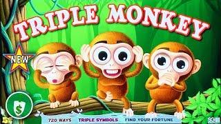 •️ New - Triple Monkey slot machine, bonus