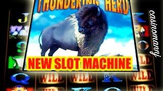NEW! Thundering Herd - Bonus Feature+Progressive Win - Slot Machine Bonus