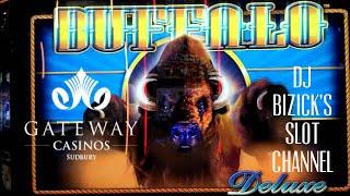 Buffalo Deluxe Slot Machine • 5 RE-TRIGGERS • Gateway Casinos •️ Sudbury, ON
