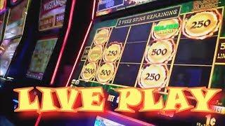 Major Win All Sorts BONUSES Episode 229 $$ Casino Adventures $$