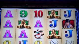 WMS great TUT. free spins bonus win