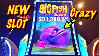 Brand New Slot: BIG FISH GRAND   it's insane and FUN! max bet play!
