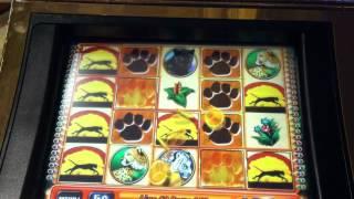 Tigers Realm Slot Machine Respin