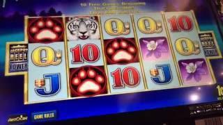 White Tiger Slot Machine ~ FREE SPIN BONUS!!! ~ DONE BETTER! • DJ BIZICK'S SLOT CHANNEL