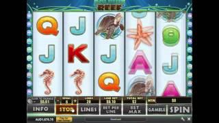 Dolphin Reef Slot Machine At Grand Reef Casino