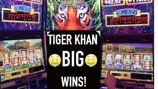 Tiger Khan BIG WINS!
