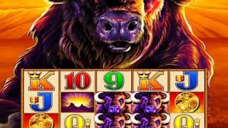 BUFFALO STAMPEDE Video Slot Casino Game with a RETRIGERED FREE SPIN BONUS