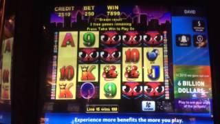 Miss Kitty - Bonus - Nice Win! - $2.50 Bet. Second time ever playing the infamous Miss Kitty.