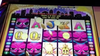 Nice Miss Kitty VIP All Stars Slot Machine Bonus