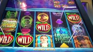 Gamefield Woz Monkey spin with 5 jackpots