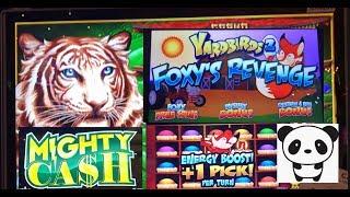 Great wins on Mighty Cash and Yardbirds 2 Foxy’s Revenge!