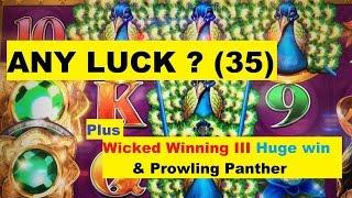 •ANY LUCK ? Free Play Slot Live Play (35)•ADORNED PEACOCK Slot•WW 3 HUGE WIN & Panther too !