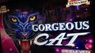 Gorgeous Cat Slot Bonus- Konami
