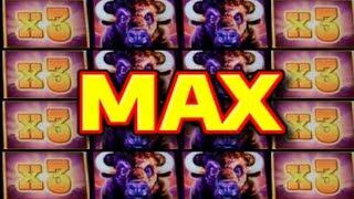 Buffalo Max Slot Machine * AWESOME BONUS in Las Vegas! | Casino Countess