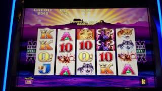 Buffalo Slot Machine MAX BET Live Play Las Vegas Slots