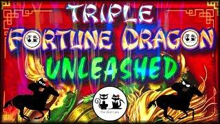 Race Track Cats • Triple Fortune Dragon • Mega Vault •