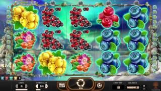 Free Winterberries Slot by Yggdrasil Video Preview | HEX