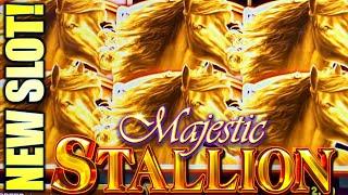 SPIN AGAIN!! NEW SLOT! I LIKE THIS GAME! ⋆ Slots ⋆ MAJESTIC STALLION Slot Machine (IGT)