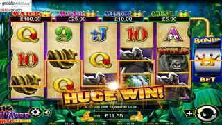 A Session on ALL NEW SLOTS with cashback - all the action!!