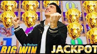 • JACKPOT • BUFFALO GOLD Slot machine  JACKPOT HANDPAY!