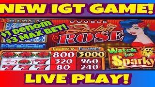 NEW IGT CLASS II GAME | DOUBLE SIZZLING ROSE | LIVE PLAY