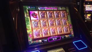 Wild Bear Paws Slot Machine Bonus Game Feature