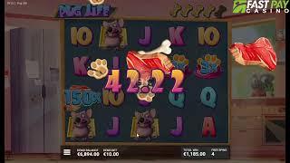 Pug Life slot by Hacksaw Gaming