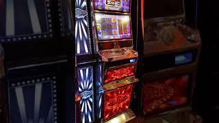 Lad goes all in on Golden Dragon