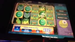 Jungle Wild-Slot Machine Bonus Win-good win for a low roll!