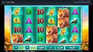 Sunday Slots with The Bandit - Wild Antics, Prize Draws and More
