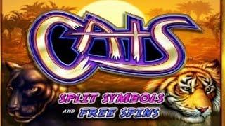 Double or Nothing on Cats by IGT with Barbara £3 a spin with  Bonuses