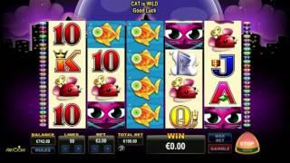 Free Miss Kitty Slot by Aristocrat Video Preview | HEX
