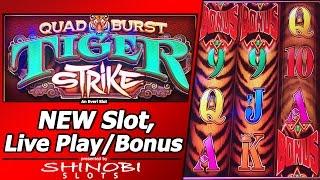 Quad Burst Strike Tiger Slot - First Attempt, Live Play and Free Spins Bonus