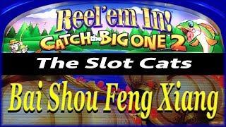 Reel 'em In! Catch the Big One 2 • Bai Shao Feng Xiang • The Slot Cats •