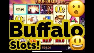 BUFFALO Slot Machine Play: Chasing the BONUS with three thousand in play!