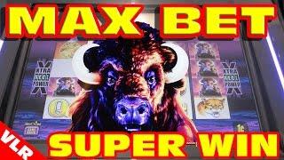 Original Buffalo - MAX BET SUPER BIG WIN - Slot Machine Bonus
