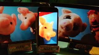 •The Amazing dancing Pigs.•..and George .•.....•One for all he Family•.