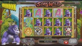 Gorilla Go Wild Slot - Stay Wild Fearure - Mega Big Win - 1542x Bet