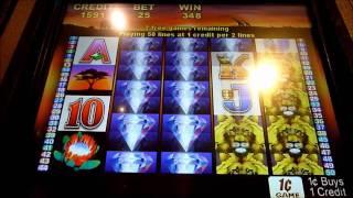 50 Lions Slot Machine Bonus Win (queenslots)