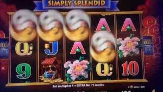 •5 frogs Slot machine•NICE BONUS WIN (10 Free Games)• $2.00 Bet x 146