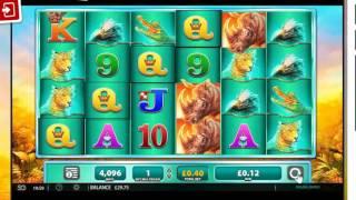 Raging Rhino Slot - 100 Spins Real Gameplay!